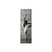 Legami - Calendrier mensuel 2024 - 16 x 49 cm - ballet