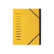 Pagna Office - Ordnermap - 12 compartimenten - 12 onderdelen - 5 mm - A4 - met tabbladen - geel
