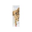 LEGAMI Photo Collection - kalender - 2024 - puppy's - 160 x 490 mm
