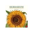 LEGAMI - kalender - 2023 - herbarium - 180 x 180 mm