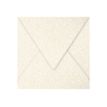 Pollen - Enveloppe - 140 x 140 mm - puntig - open zijkant - afdrukbaar - iriserend room - pak van 20