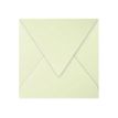 Pollen - Enveloppe - 140 x 140 mm - puntig - open zijkant - afdrukbaar - groene knopjes - pak van 20