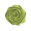 Clairefontaine - papier - Rouleau (50 cm x 2,5 m) - vert mousse - papier crépon