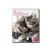 Legami Photo Collection - Calendrier 2024 - 12 x 14,5 cm - chatons