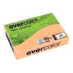 Clairefontaine Evercolor - Zalm - A4 (210 x 297 mm) - 80 g/m² - 500 vel(len) gerecycled getint papier