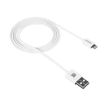 Canyon - câble Lightning / USB - 1 m - blanc