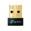 TP-Link UB5A - Nano - netwerkadapter - USB 2.0