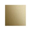 Clairefontaine MAYA - Tekenpapier - 500 x 700 mm - goud