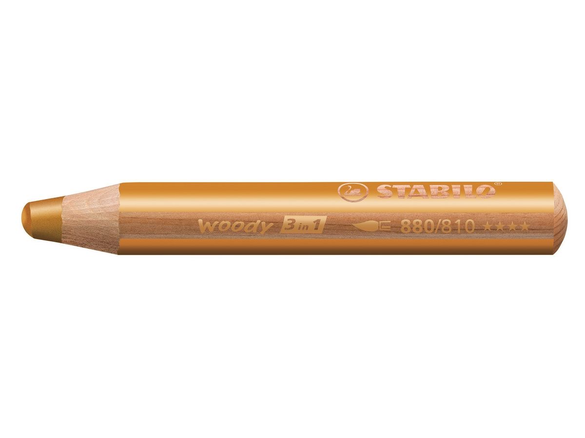 Woody 3in1 crayon de couleur - Etui de 18 crayons (dont 6 pastel) + taille- crayon + pinceau rond sur