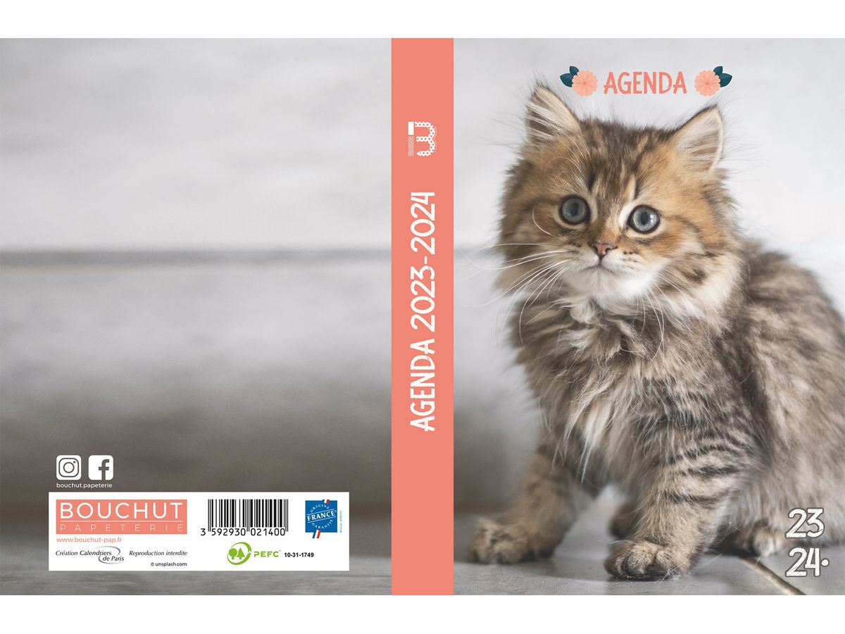 Calendrier 2024 Les Chatons, PAPETERIE, AGENDA / CALENDRIER