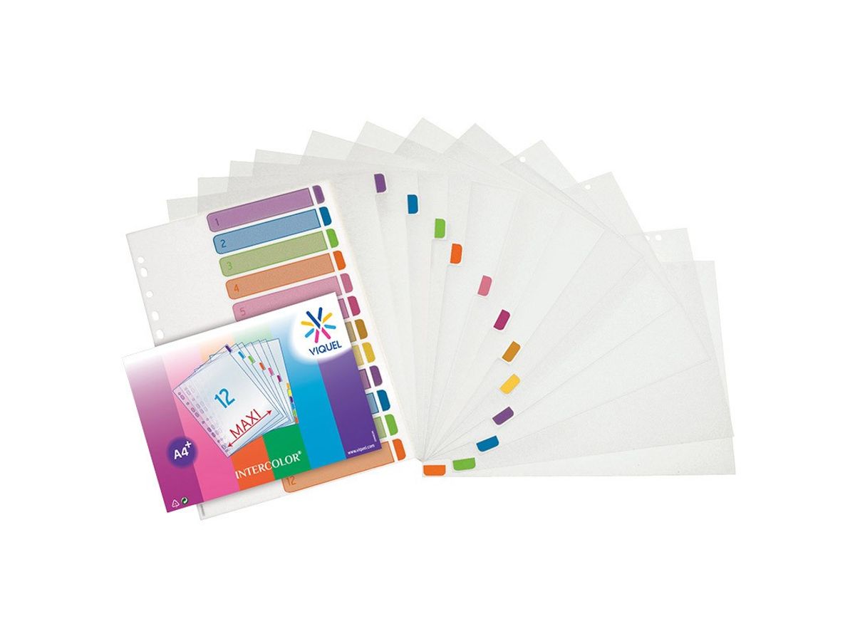 Viquel - Lot de 12 intercalaires A4 maxi pour classeur maxi ou classeur à  levier - Multicolore