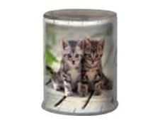 Oberthur Chatons Twins - taille-crayon