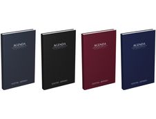 Agenda perpétuel Lecas Recettes-Dépenses - 1 jour par page - 14 x 22 cm - disponible dans différentes couleurs