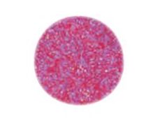 Graine Creative - paillette - 3 g - rose fuchsia