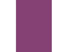 Pollen - 50 Feuilles papier couleur - A4 (21 x 29,7 cm) - 120 g/m² - cassis