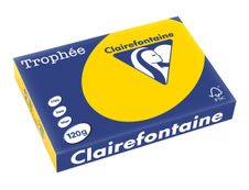 Clairefontaine Trophée - Papier couleur - A4 (210 x 297 mm) - 120 g/m² - 250 feuilles - bouton d'or