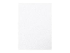 Pollen - 25 Feuilles papier couleur - A4 (210 x 297 mm) - 210 g/m² - blanc irisé