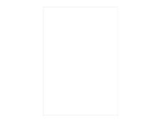 Pollen - 50 Feuilles papier couleur - A4 (21 x 29,7 cm) - 160 g/m² - blanc