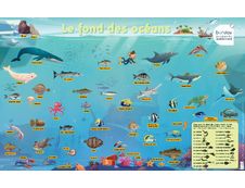 Les Posters Phosphorescents : Le fond des océans
