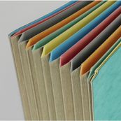 Extendos - Trieur 6 positions - rouge