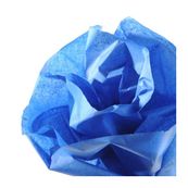 Canson rollo seda 0.5x5m 20gr. azul ultramar