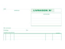Exacompta - Manifold Carnet de livraisons - 50 tripli - A4
