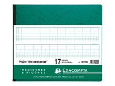 Exacompta - Piqûre tête paresseuse - 17 colonnes sur 2 pages - 27 x 32 cm