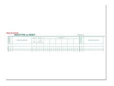 Exacompta - Piqûre Journal de caisse ou banque - 2 libellés : 6 crédits/13 débits - 27 x 32 cm