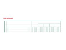 Exacompta - Piqûre comptable - 15 colonnes sur 2 pages - 32 x 25 cm - 80 pages