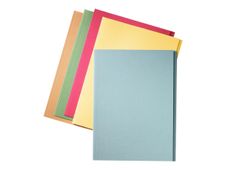 Esselte Manilla - 100 Chemises à onglets - vert