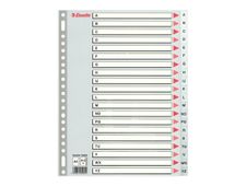Esselte - intercalaire - 20 positions - A4 - à onglets - gris