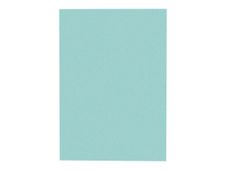 Esselte - chemise - A4 - chamois