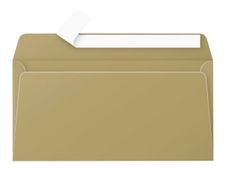 Pollen - 20 Enveloppes - 110 x 220 mm - 120 g/m² - or