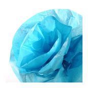Canson rollo seda 0.5x5m 20gr. azul turquesa