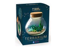 FIMO - Ensemble de pâte à modeler - 7 pièces - terrarium