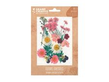 Graine Creative - Ensemble de fleurs pressées - 16 pièces - prairie rose