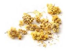 Graine Creative Immortelle - Dried flowers - 15 g