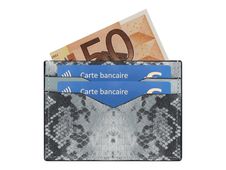 Color Pop - Porte cartes écailles (pour 4 cartes de crédit) anti RFID
