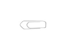 Sign - 100 Trombones attache-lettres - 32 mm - métal nickelé