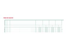 Exacompta - Piqûre tête paresseuse - 13 colonnes sur 2 pages - 32 x 25 cm - 80 pages