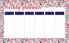 Quo Vadis - Sous-main planificateur hebdomadaire - 16,5 x 26,5 cm - 55 feuilles