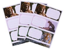 Apli Jungle - 9 Étiquettes scolaires - 36 x 81 mm