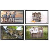 Viquel - Sous-main Animaux - 59,8 x 36,5 cm - disponible dans différents modèles