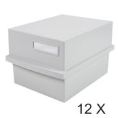 Exacompta - 12 Boîtes à fiches avec 1 intercalaire - A6 - pour 600 cartes - gris lumière