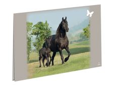 Oberthur Cheval COMPLICE sous-main