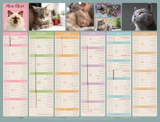 Calendrier bancaire illustré année civile BOUCHUT "Chat Medium" 32 x 42 cm Pefc 70 %