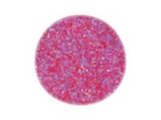 Graine Creative - paillette - 3 g - rose fuchsia