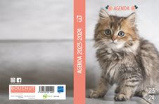 Agenda Animaux - 1 jour par page - 12 x 17 cm - chaton - Bouchut