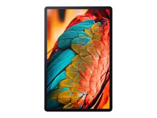 Lenovo Tab P11 Pro ZA8M - tablette 11,5" - Android 10 - 128 Go - gris