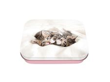 Boîte à bons points Chaton duo - Oberthur